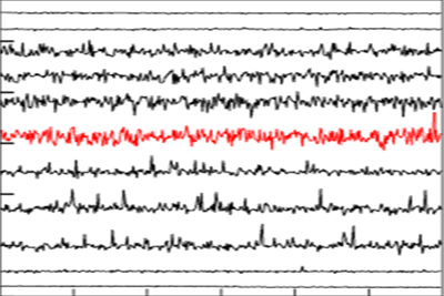 Typical turbulence velocity traces